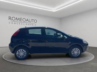 FIAT Punto usata, con Climatizzatore
