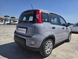 FIAT Panda usata, con Antifurto