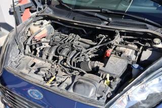 FORD Fiesta usata 95