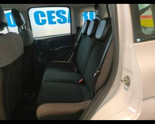 FIAT New Panda usata 13