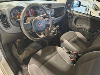 FIAT Panda usata, con ESP