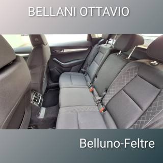 SKODA Karoq usata, con Immobilizzatore elettronico