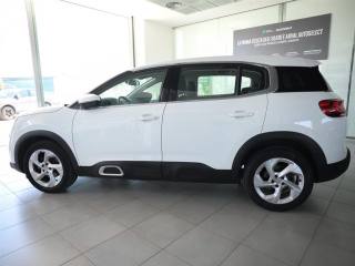 CITROEN C5 usata, con ESP