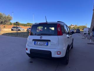 FIAT Panda usata 34