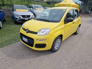 FIAT Pandina 1.0 FireFly 65 CV Hybrid Pop