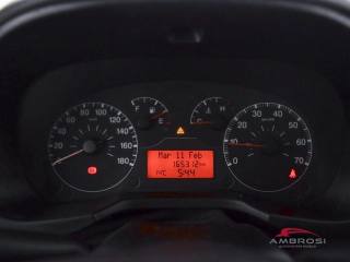 FIAT Qubo usata 12