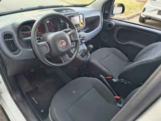 FIAT Panda usata, con Immobilizzatore elettronico