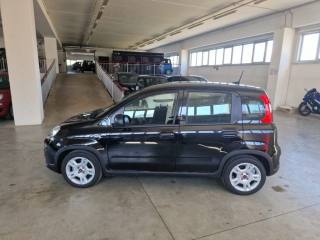 FIAT Panda usata, con Antifurto