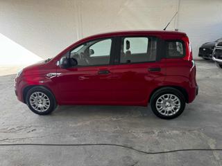 FIAT Panda usata, con Controllo trazione