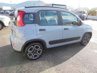 FIAT Panda usata 14