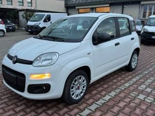 FIAT New Panda usata, con Airbag Passeggero