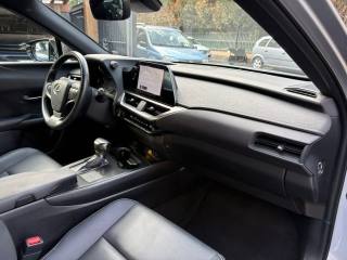 LEXUS UX 250h usata, con Climatizzatore