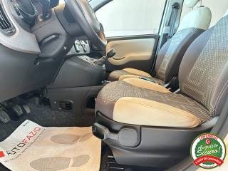FIAT Panda usata, con USB