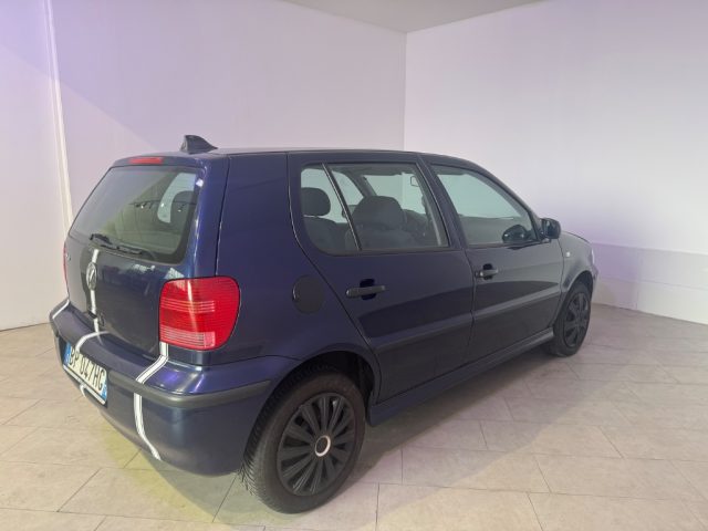 VOLKSWAGEN Polo usata 8