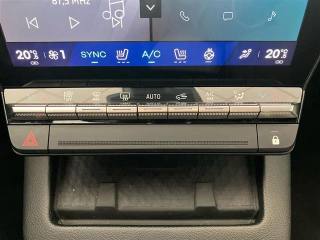 RENAULT Scenic usata, con Isofix