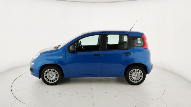 FIAT Pandina usata, con Airbag Passeggero