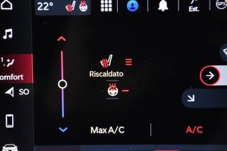 ALFA ROMEO Tonale usata, con Cruise Control