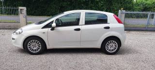 FIAT Punto usata, con Chiusura centralizzata