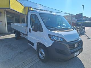 FIAT Ducato usata, con Servosterzo