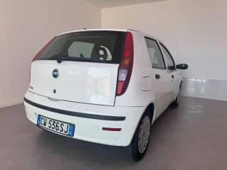 FIAT Punto usata 10