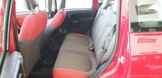 FIAT Panda usata, con Climatizzatore