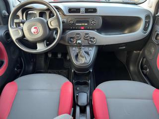 FIAT Panda usata, con Climatizzatore