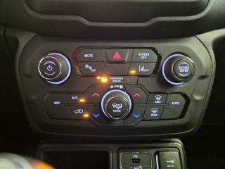 JEEP Renegade usata, con Cruise Control