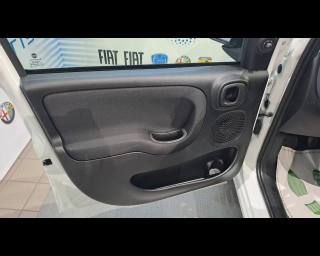 FIAT Panda usata 21