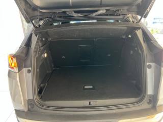 PEUGEOT 3008 usata, con Cronologia tagliandi