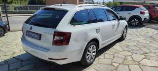 SKODA Octavia usata, con Airbag