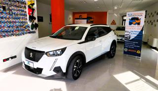 PEUGEOT 2008 usata, con Vetri oscurati