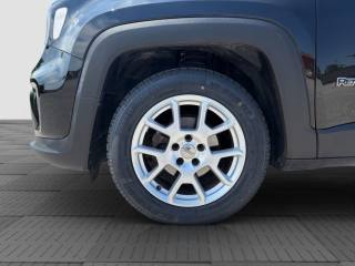 JEEP Renegade usata 13