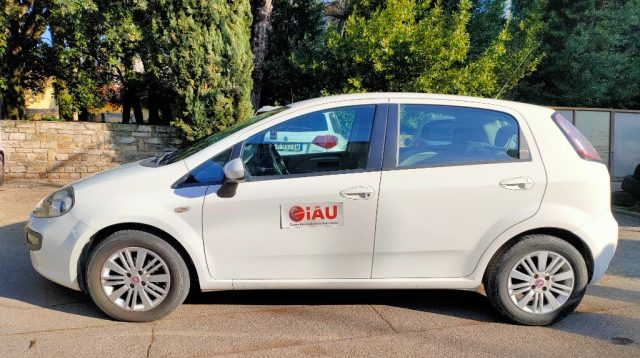 FIAT Punto Evo usata, con Airbag Passeggero