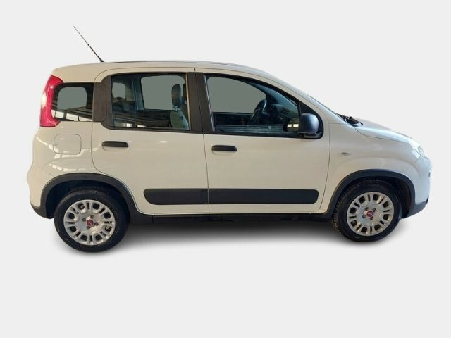 FIAT Panda usata, con Airbag laterali
