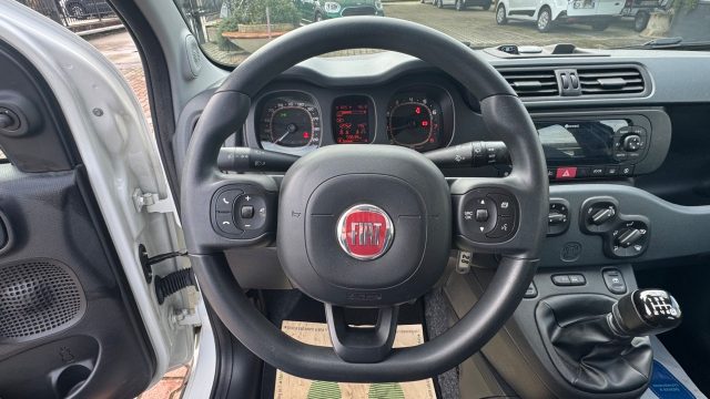 FIAT New Panda usata, con Fendinebbia