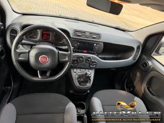 FIAT Panda usata, con Climatizzatore