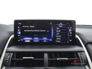 LEXUS NX 300h usata 13