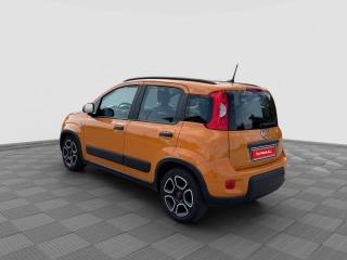 FIAT Panda usata 2