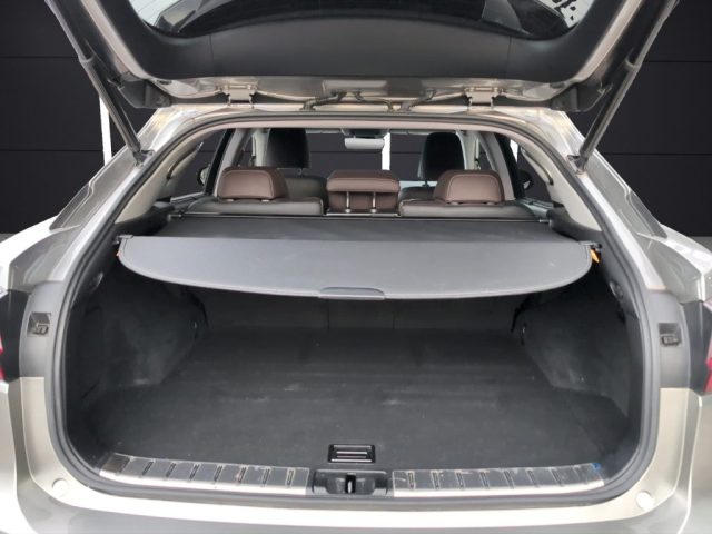LEXUS RX 450h usata, con Antifurto