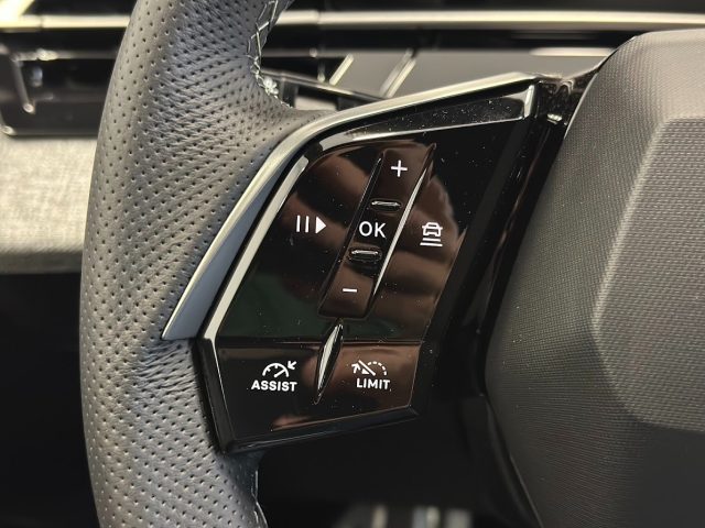 PEUGEOT 3008 usata, con Sedili riscaldati
