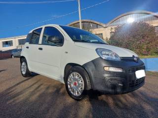 FIAT Panda usata 7