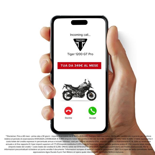 TRIUMPH Tiger 1200 usata 2