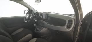 FIAT Panda usata 39