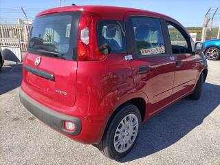 FIAT Panda usata, con Climatizzatore