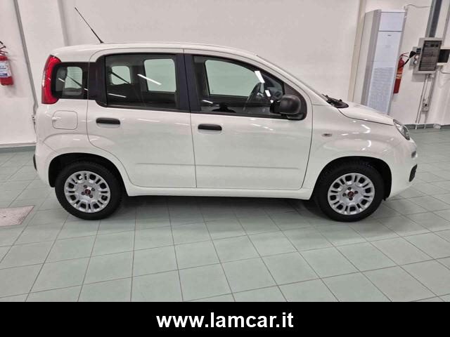 FIAT Panda usata, con ESP