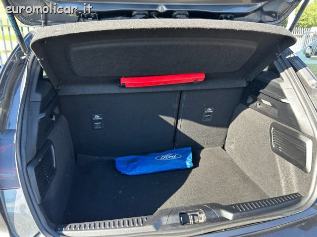 FORD Focus usata, con Servosterzo