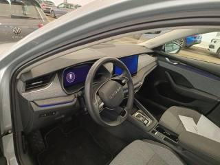 SKODA Octavia usata, con Cruise Control