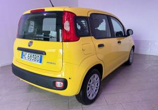 FIAT Pandina usata 3