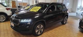 SKODA Karoq usata, con Cerchi in lega