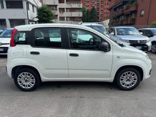 FIAT Panda usata, con Alzacristalli elettrici